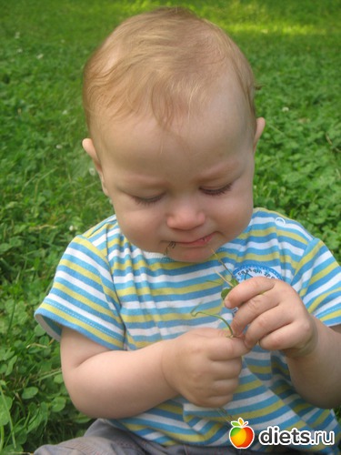 8 фото: Ах,лето....