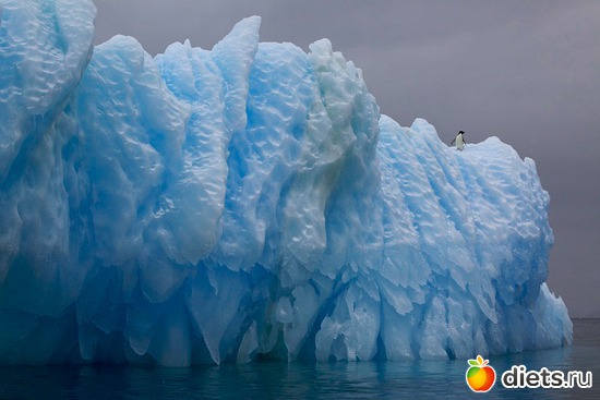 8 фото: Айсберг
