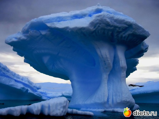14 фото: Айсберг