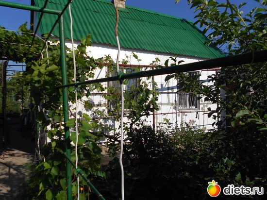 2 фото: Моя дача