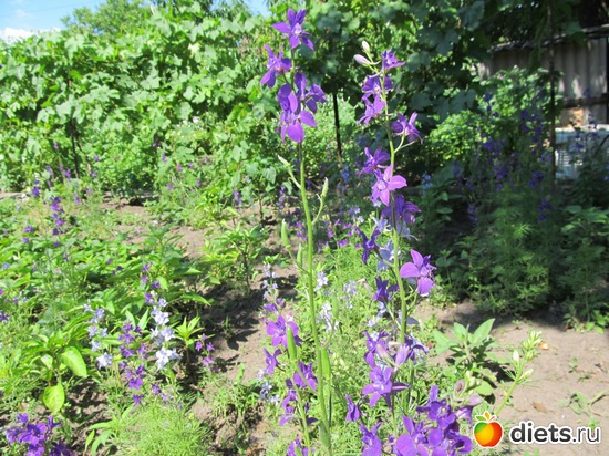 2 ����: ���� 2012