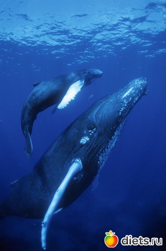 1 фото: Родители и дети