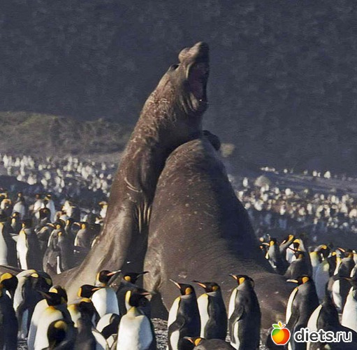 4 фото: Родители и дети