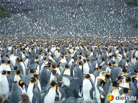 5 фото: Родители и дети