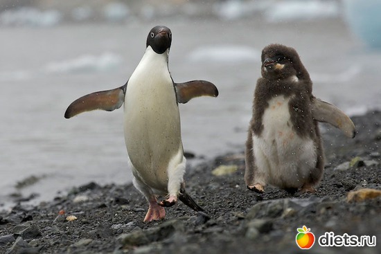 8 фото: Родители и дети