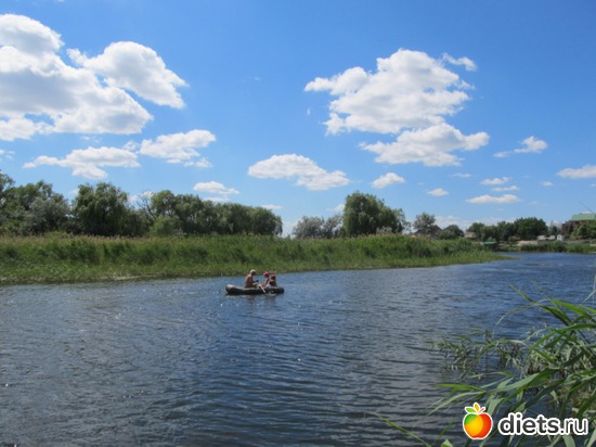 17 ����: ���� 2012