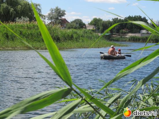 21 ����: ���� 2012