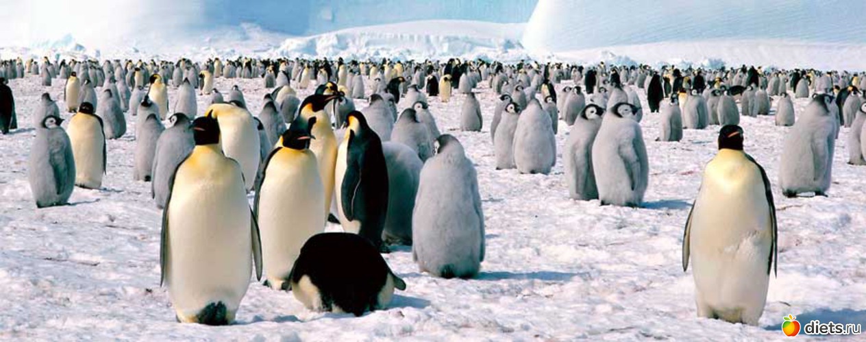 10 фото: Родители и дети