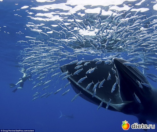 12 фото: Родители и дети