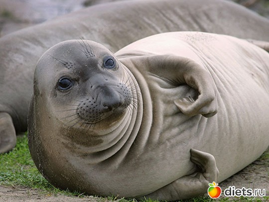 Родители и дети