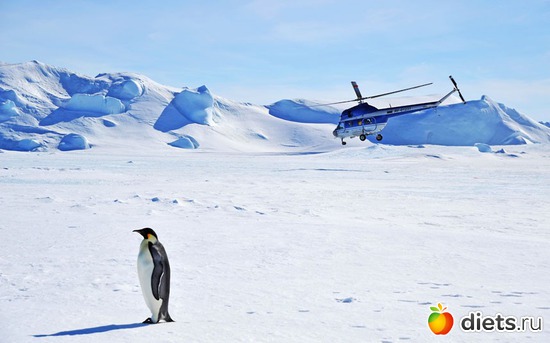 19 фото: Родители и дети