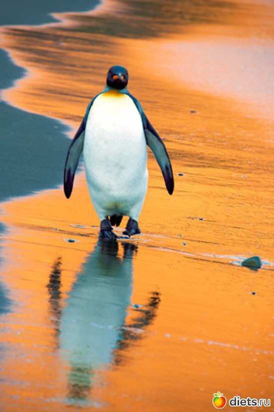 27 фото: Родители и дети