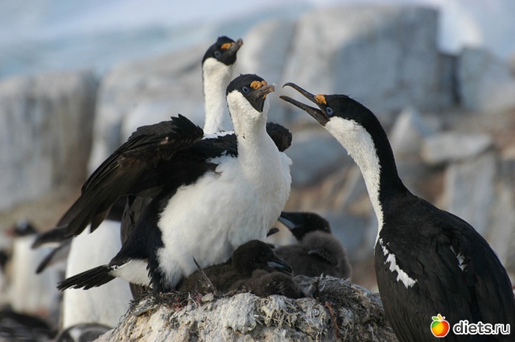 31 фото: Родители и дети