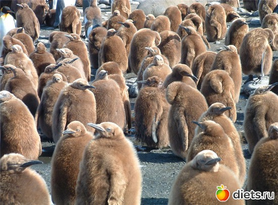 33 фото: Родители и дети