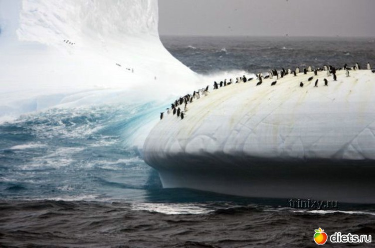 34 фото: Родители и дети