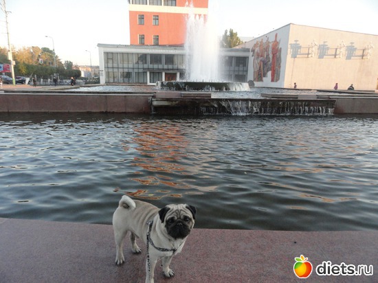 5 фото: моя семья