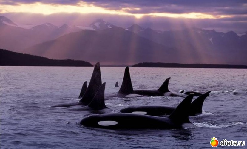 39 фото: Родители и дети