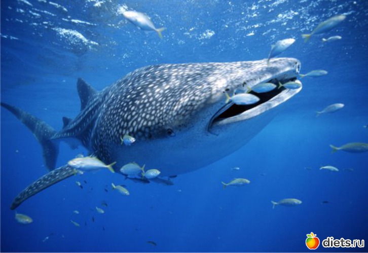 41 фото: Родители и дети