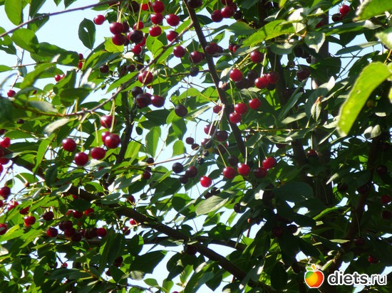 2 ����: ������...