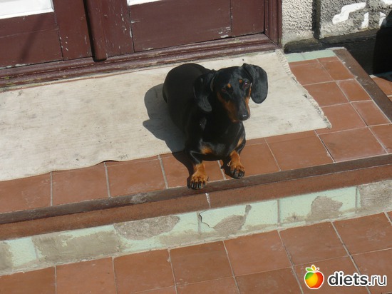 3 ����: ������...