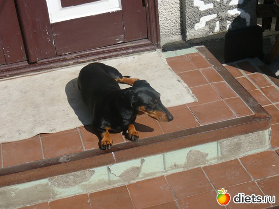 4 ����: ������...