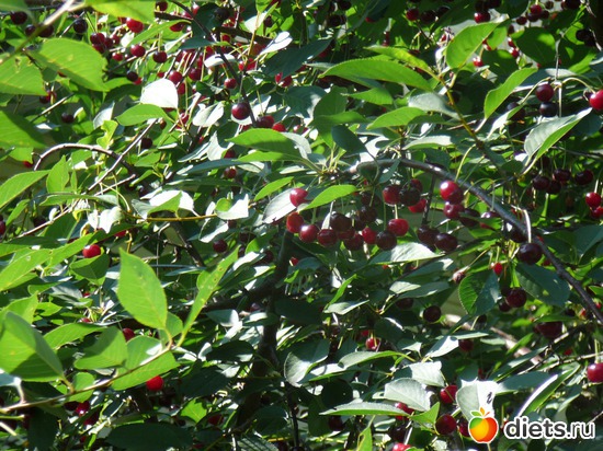 6 ����: ������...