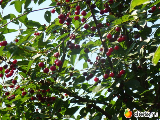 7 фото: просто...