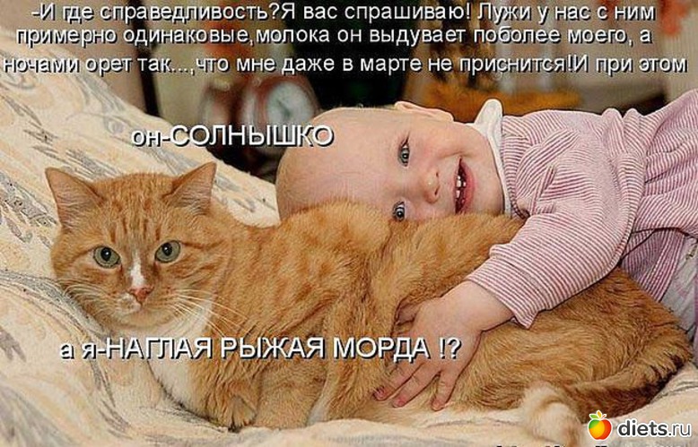 2 фото: Позитив