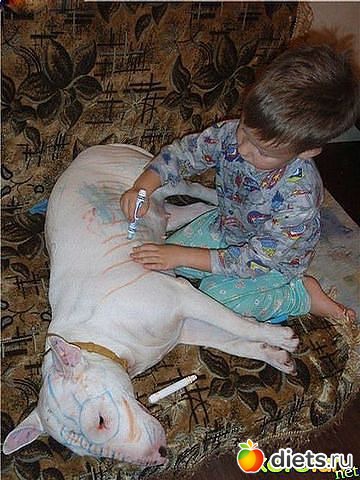 �������