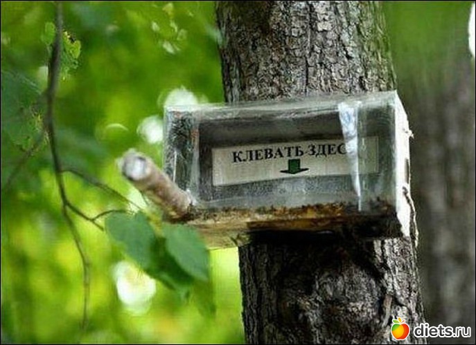 13 фото: Позитив