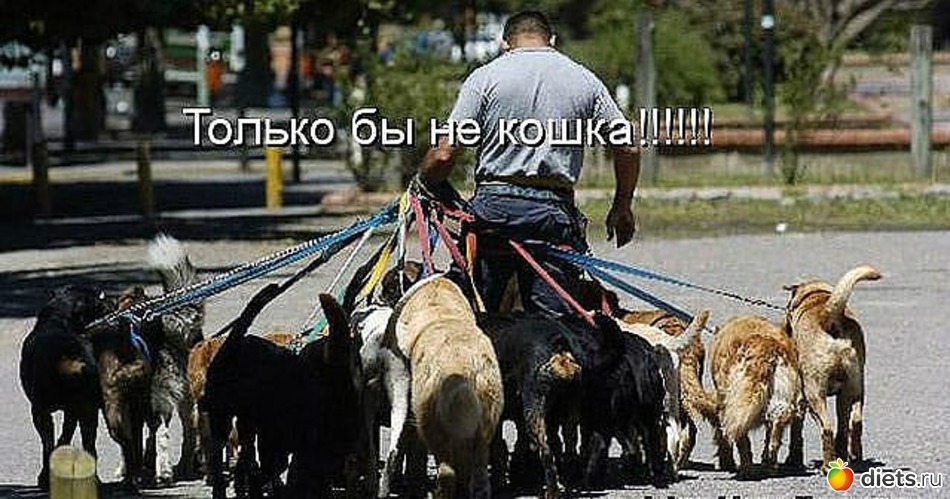 15 ����: �������