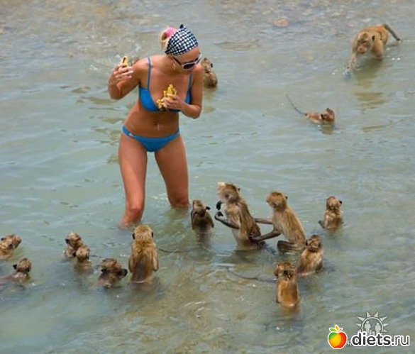 18 фото: Позитив