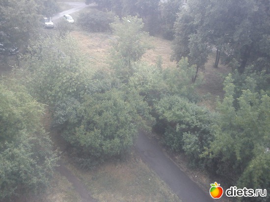 2 фото: Наконец-то, дождь, урааа!!!