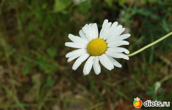 16 ����: moments .