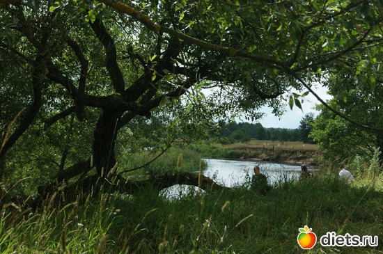 17 ����: moments .