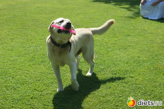 19 ����: moments .