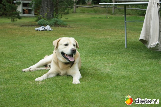 20 ����: moments .