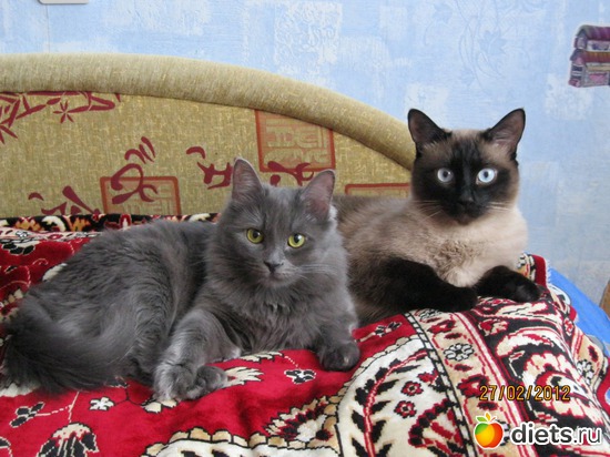 7 ����: ������