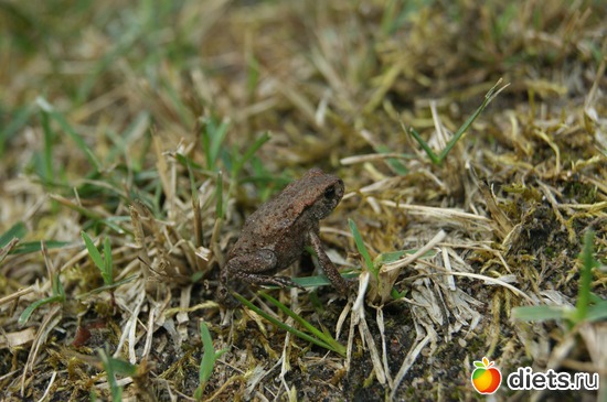 21 ����: moments .