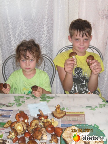 10 ����: ������