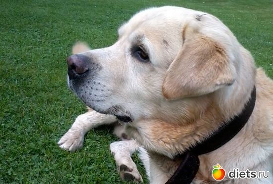 29 ����: moments .