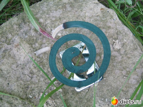 6 ����: ��� ����� ����...