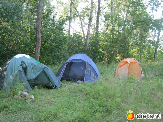 8 ����: ��� ����� ����...