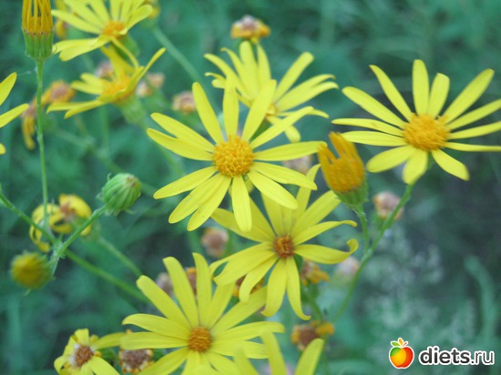 9 ����: ��� ����� ����...