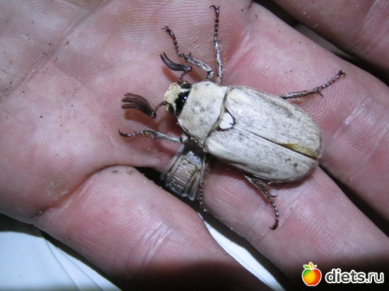 10 ����: ��� ����� ����...