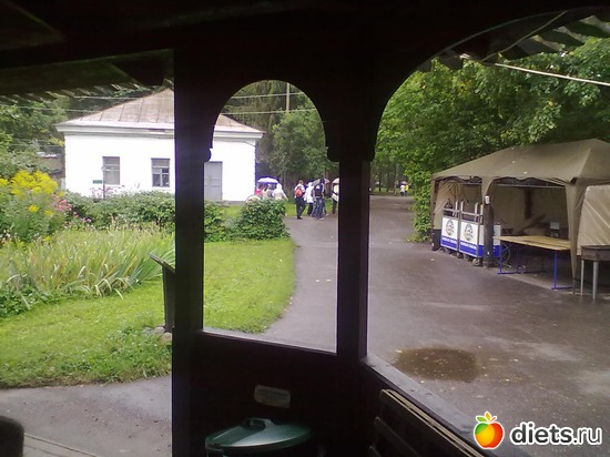 5 фото: Витославлицы