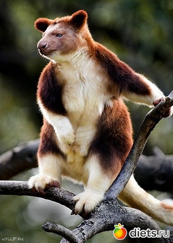 3 ����: ������������� ��������