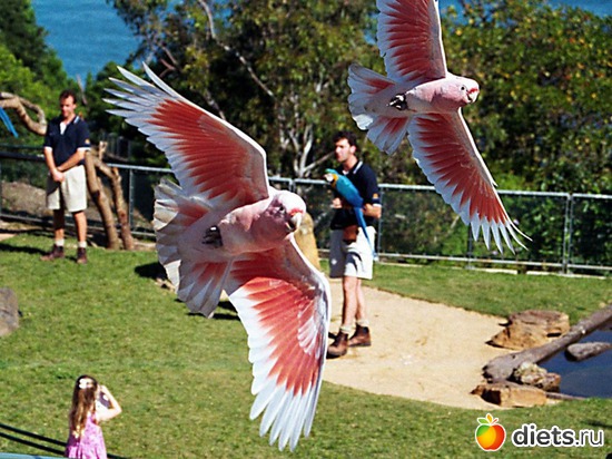 6 ����: ������������� ��������