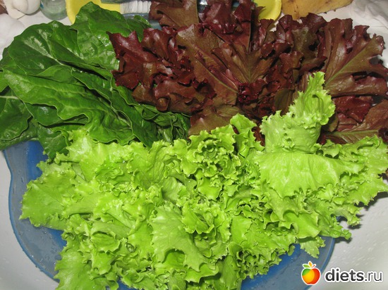 Сплошные витамины, альбом: Мой сад-огород