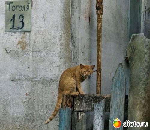 ������� ����� ���!